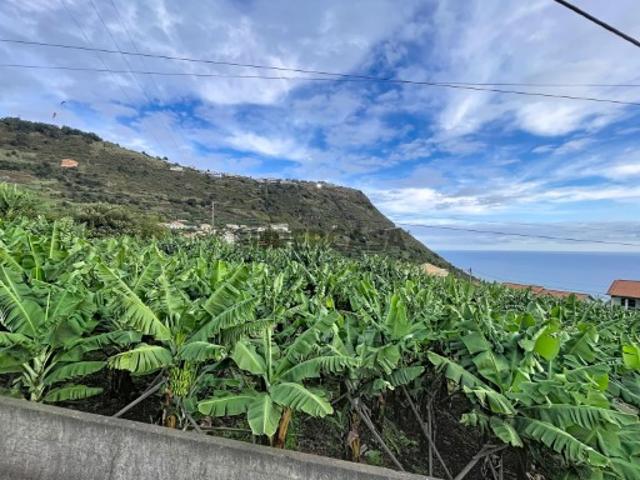 Terreno venda em Arco Da Calheta, Ilha Da Madeira