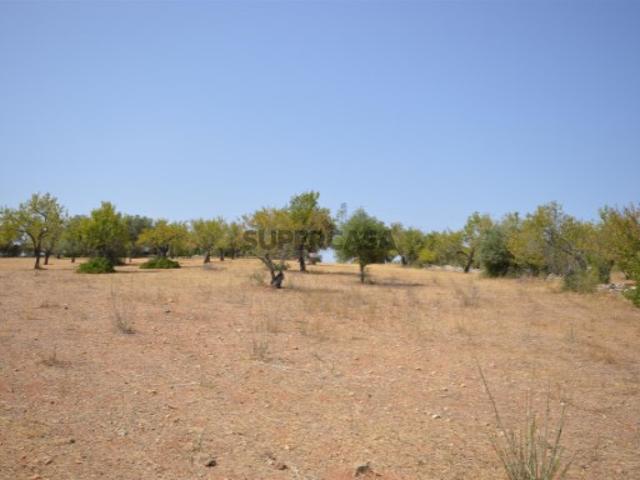 Terreno venda em Albufeira, Faro