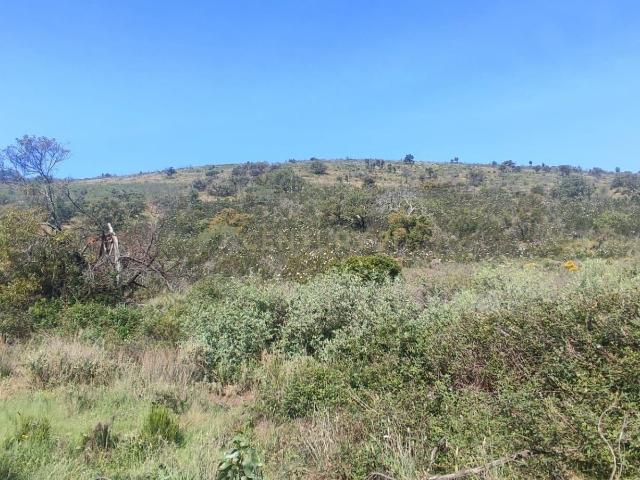 Terreno venda em Vila Do Bispo, Faro