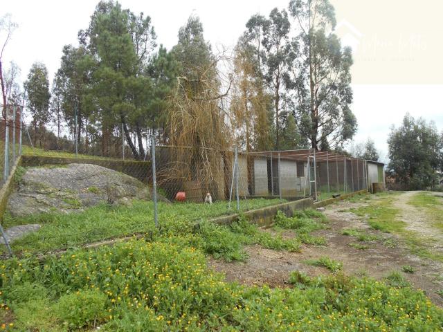 Terreno venda em Mourilhe, Viseu