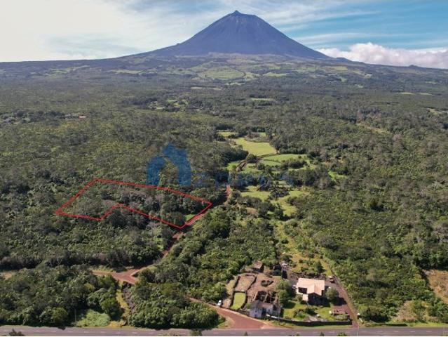 Terreno venda em Açores, São Roque Do Pico
