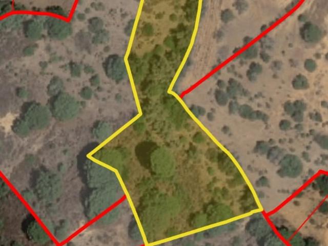 Terreno venda em Lagoa, Lagoa e Carvoeiro