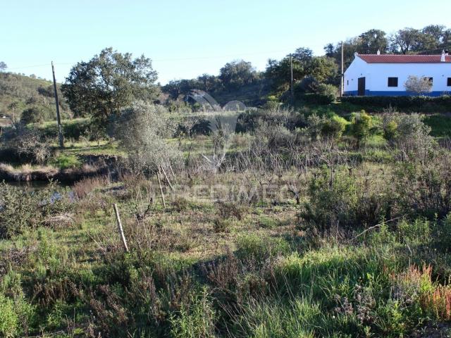 Terreno venda em São Bartolomeu De Messines, Faro