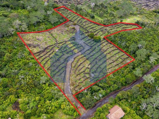 Terreno venda em Açores, São Roque Do Pico