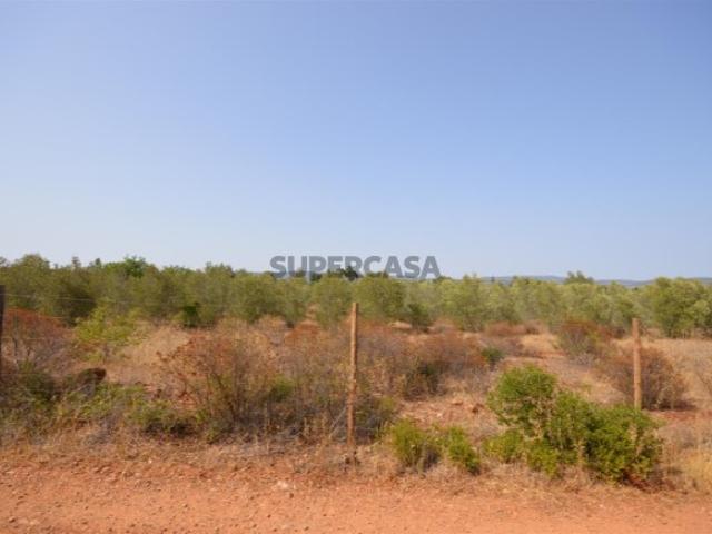 Terreno venda em Albufeira, Faro