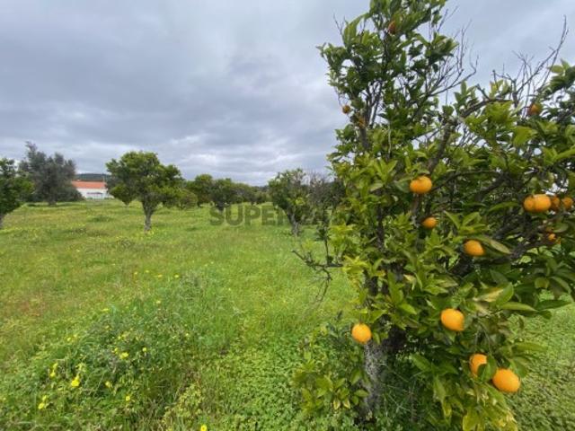 Terreno venda em Bensafrim, Faro