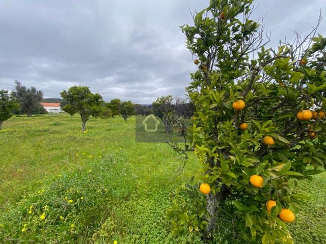 Terreno venda em Lagos, Faro