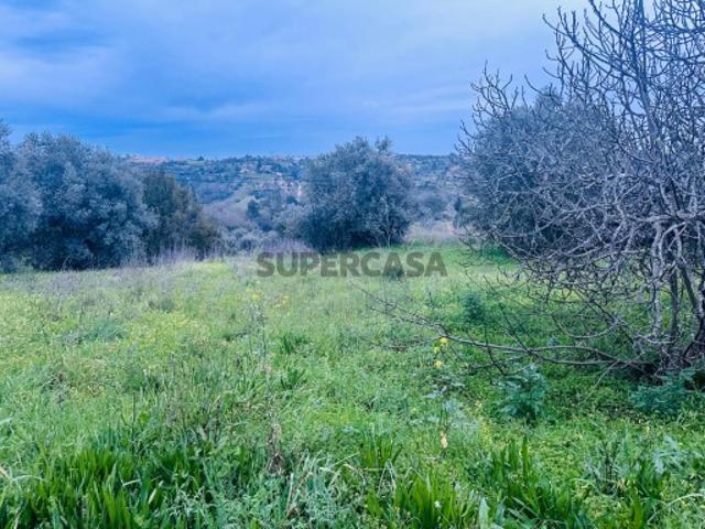 Terreno venda em Cardais, Torres Novas