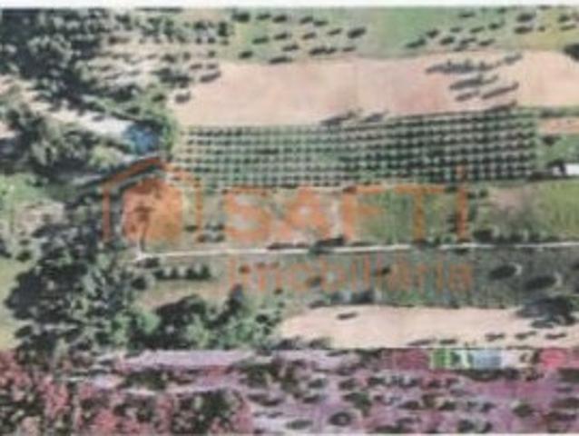 Terreno venda em Cardais, Torres Novas