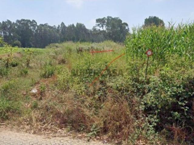 Terreno venda em São João, Ovar