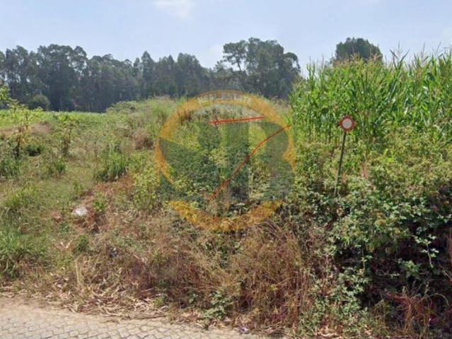 Terreno venda em São João, Ovar
