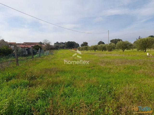 Terreno venda em Soure, Coimbra