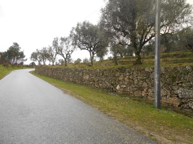 Terreno venda em Mourilhe, Viseu