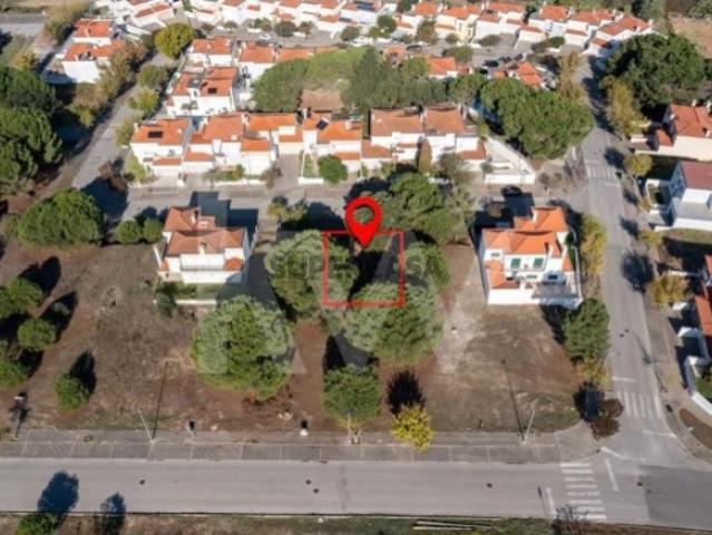 Terreno venda em Entroncamento, São João Baptista