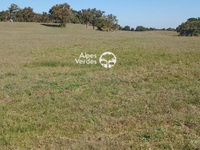 Terreno venda em Região Geográfica Imediata de Tramandaí - Osório, Aglomeração Urbana do Litoral Norte