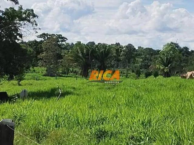 Fazenda venda em Região Geográfica Imediata de Porto Velho, Porto Velho