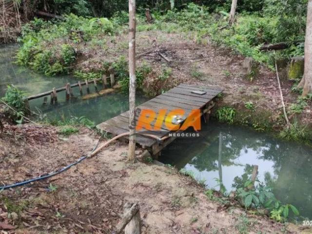 Fazenda venda em Região Geográfica Imediata de Porto Velho, Porto Velho