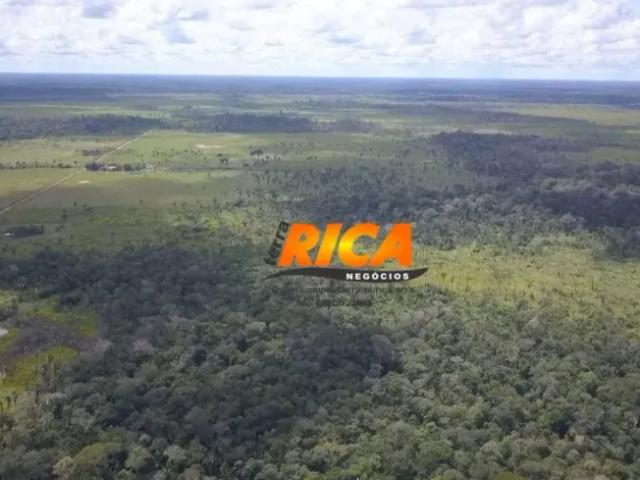 Fazenda venda em Região Geográfica Imediata de Lábrea, Canutama