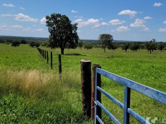 Sítio e chácara venda em Região Geográfica Imediata de Uberlândia, Campina Verde