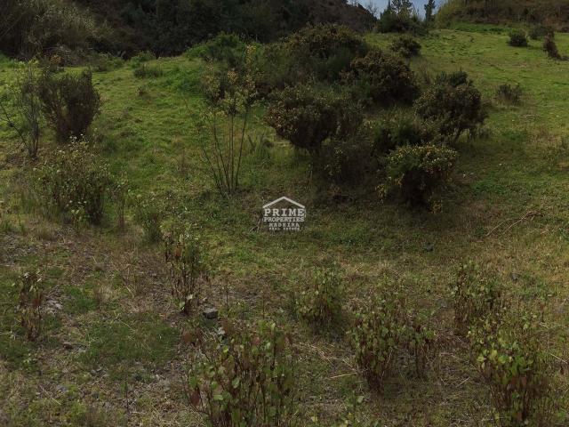 Terreno venda em São Roque, Funchal