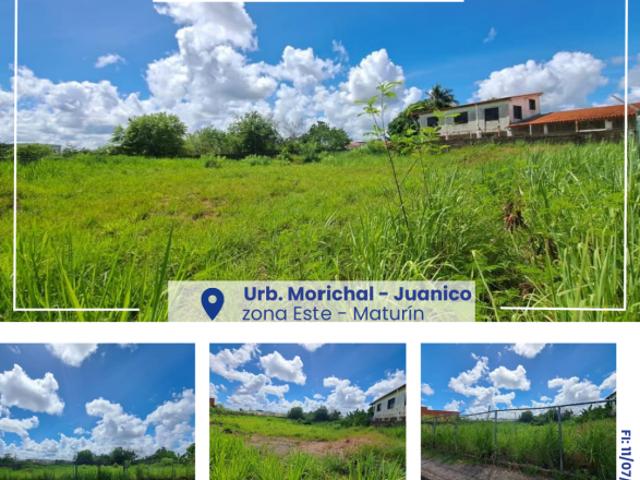 Terreno en venta en Maturin, Monagas