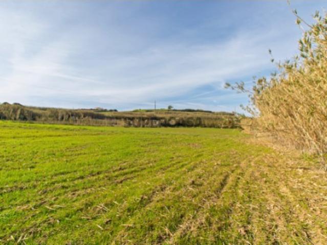 Terreno venda em Casal do Carido, Mafra