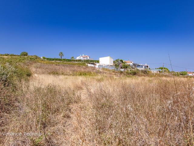 Terreno venda em Sintra, Lisboa