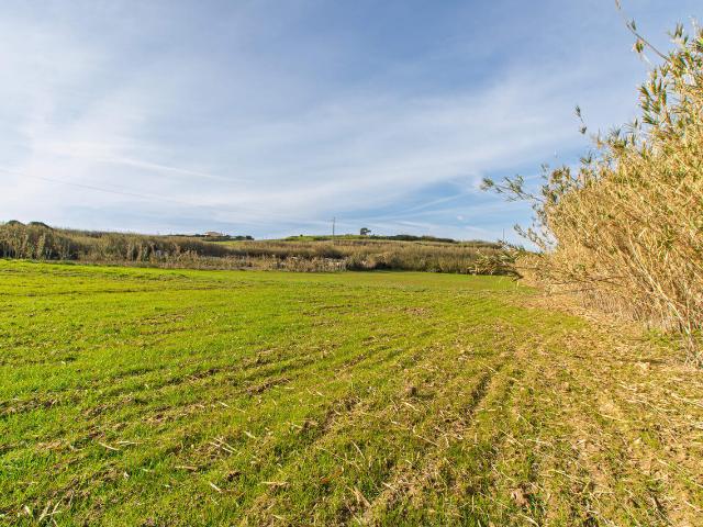 Terreno venda em Casal do Carido, Mafra