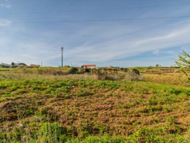 Terreno venda em Mafra, Lisboa