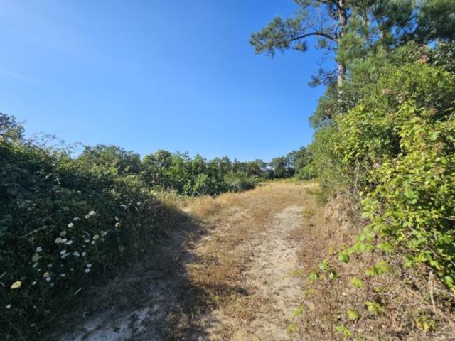 Terreno venda em Mafra, Lisboa