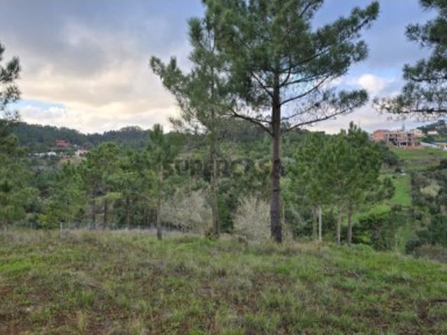 Terreno venda em Mafra, Lisboa