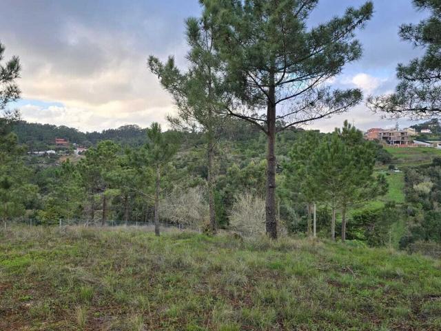 Terreno venda em Mafra, Lisboa