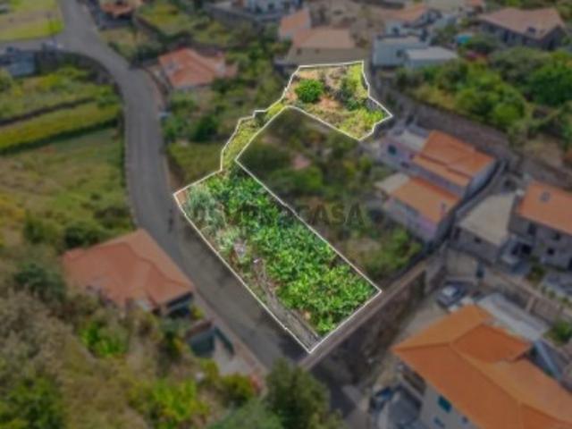 Terreno venda em Pico da Roda, Câmara de Lobos
