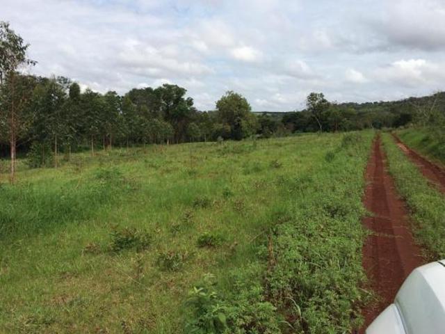 Sítio e chácara venda em Marechal Cândido Rondon, Região Geográfica Intermediária de Cascavel