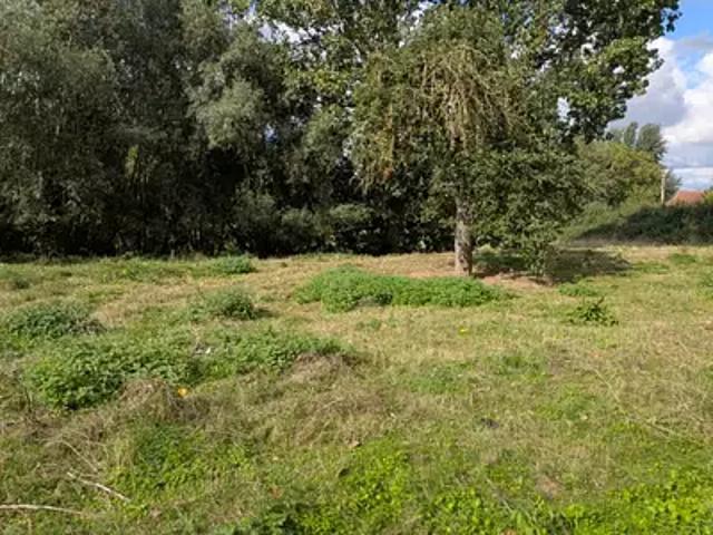 Terrain vente à Vendegies-sur-Écaillon, Nord