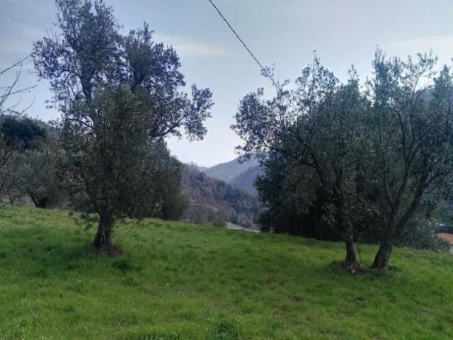 Terreno in vendita a Varazze, Liguria