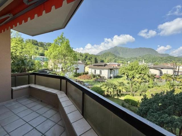 Wohnung kaufen in Losone, Tessin