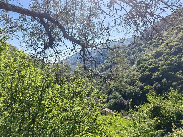 Appartamento in vendita a Sori, Liguria