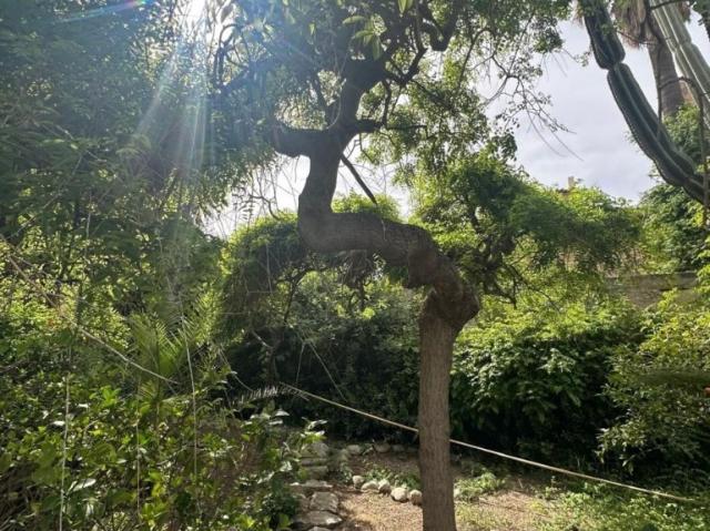 Attico in vendita a Vittoria, Sicilia