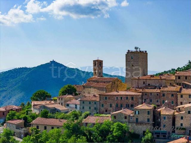 Villa Indipendente in vendita a Castelnuovo Val Di Cecina, Toscana