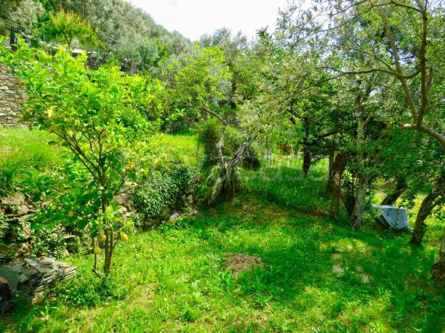 Villa Indipendente in vendita a Levante, Serra Riccò