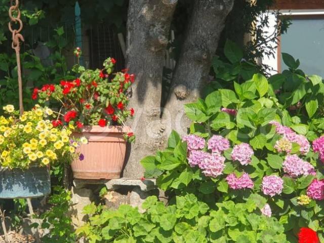 Villa Indipendente in vendita a Lugagnano Val D'arda, Reggio Emilia