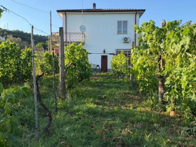 Villa Indipendente in vendita a Isola, Luni