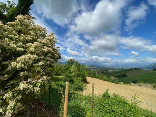 Villa Indipendente in vendita a Marche, Macerata
