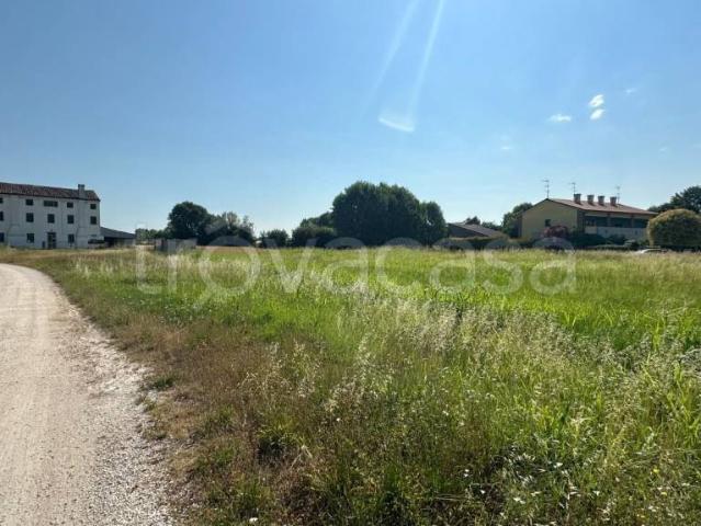 Villa Indipendente in vendita a Borgo Veneto, Montagnana