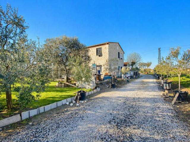 Villa Indipendente in vendita a Borgo Frassine, Montagnana