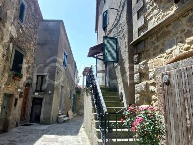 Villa Indipendente in vendita a Unione dei Comuni Montani Amiata Grossetana, Arcidosso