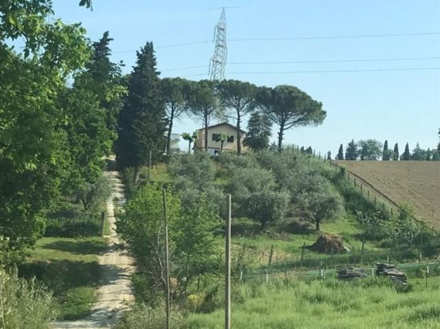 Villa Indipendente in vendita a Marche, Ancona