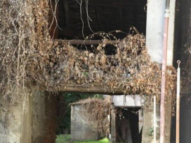 Villa Indipendente in vendita a Unione dei Comuni I Fontanili, Rosate