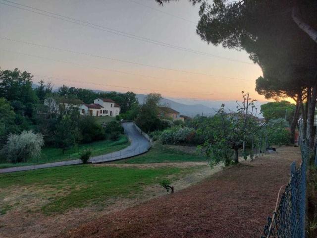 Rustico in vendita a Luni, Liguria